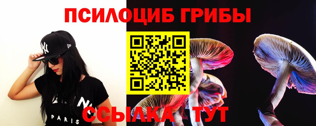 Электросталь  Галлюциногенные грибы Magic Shrooms  Галлюциногенные грибы MAGIC MUSHROOMS  Вход с VPN 